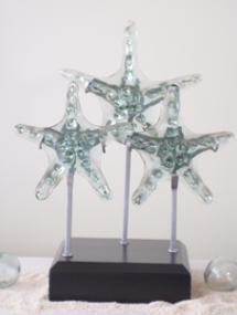 BG-319_Triple starfish on wooden base